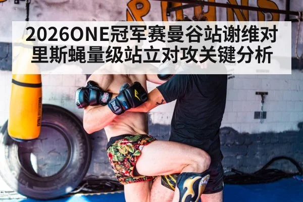 2026ONE冠军赛曼谷站谢维对里斯蝇量级站立对攻关键分析